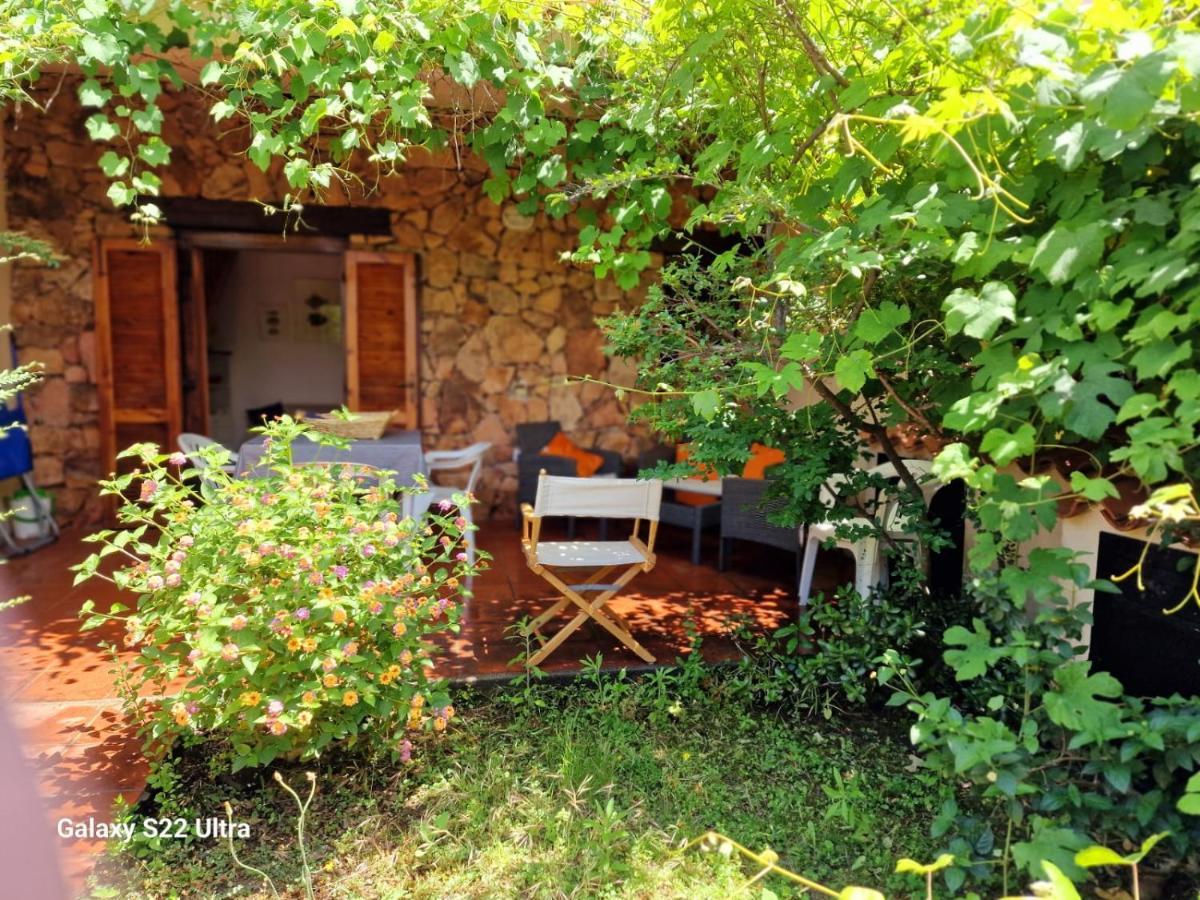 San Teodoro Appartamento Vacanze Centro 外观 照片